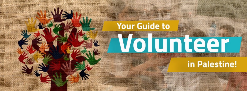 Volunteer in Palestine - West Bank