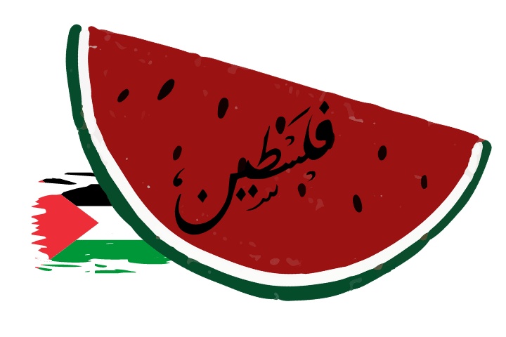 Volunteer in Palestine