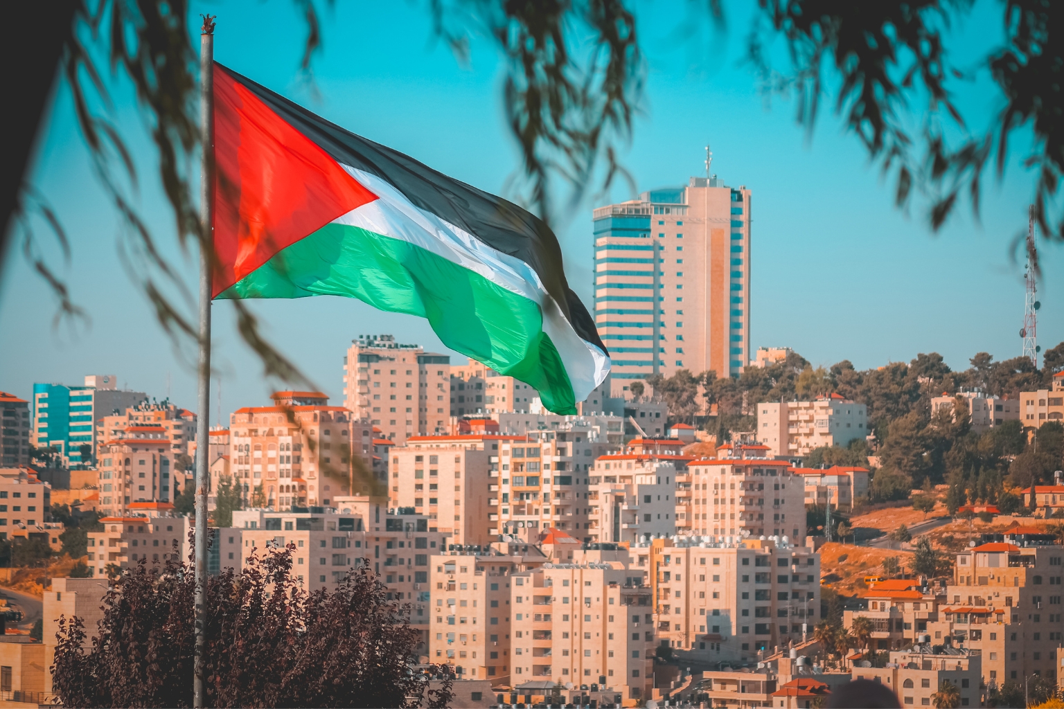 Volunteer in Palestine - West Bank